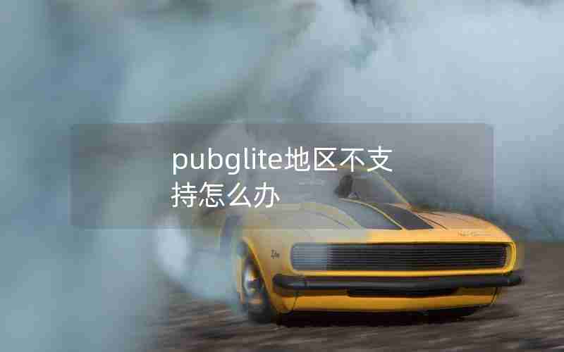 pubglite地区不支持怎么办 pubglite地区不支持怎么办