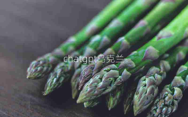 chatgpt乌克兰 chatgpt乌克兰