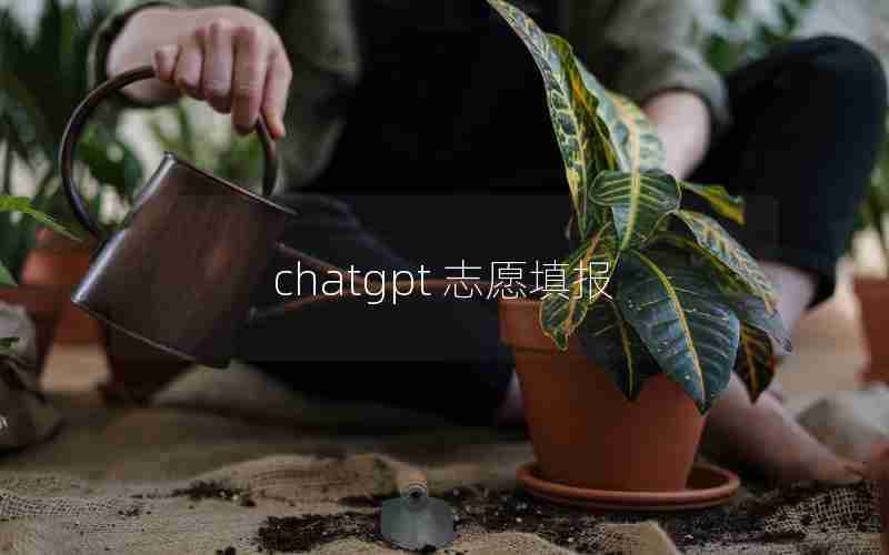 chatgpt 志愿填报