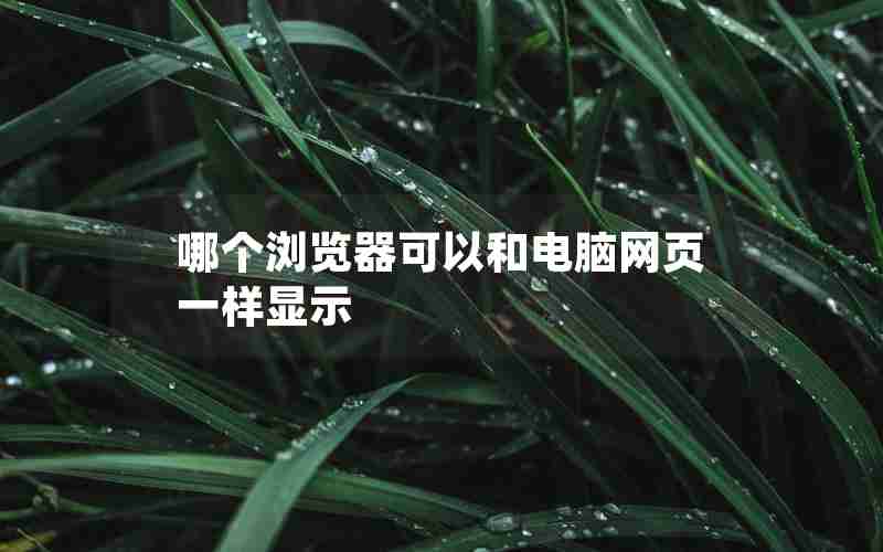 哪个浏览器可以和电脑网页一样显示 哪个浏览器可以和电脑网页一样显示