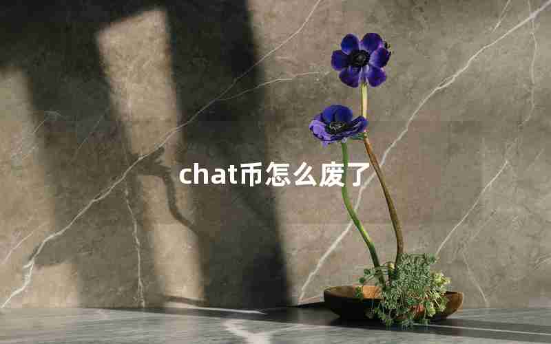 chat币怎么废了