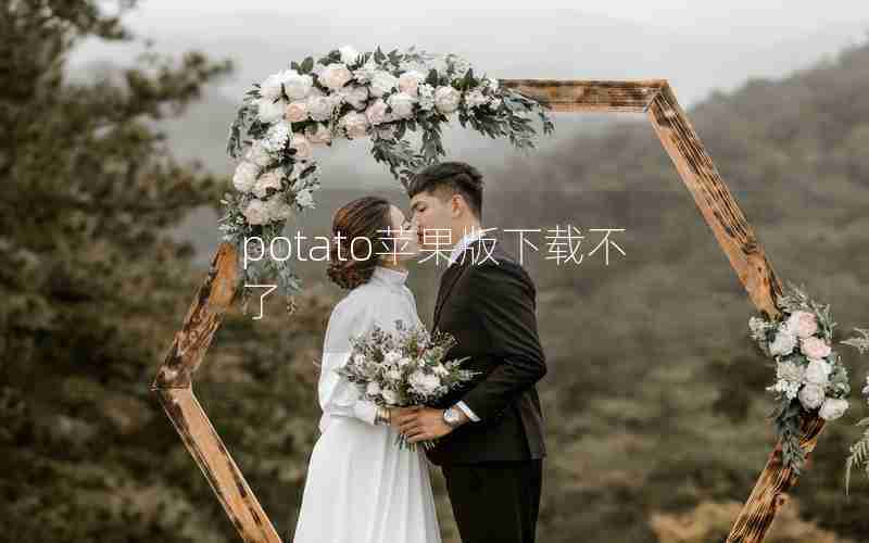 potato苹果版下载不了