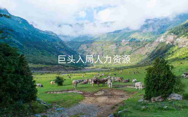 巨头入局人力资源