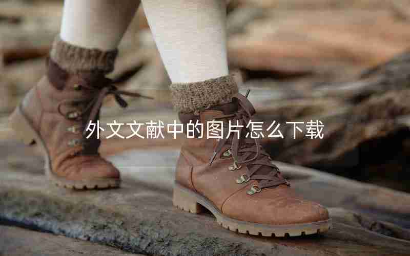外文文献中的图片怎么下载