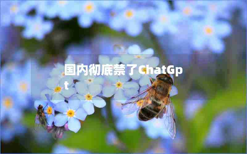 国内彻底禁了ChatGpt 国内彻底禁了ChatGpt