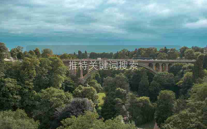 推特关键词搜索 推特关键词搜索