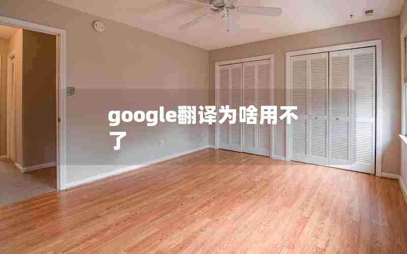 google翻译为啥用不了 google翻译为啥用不了