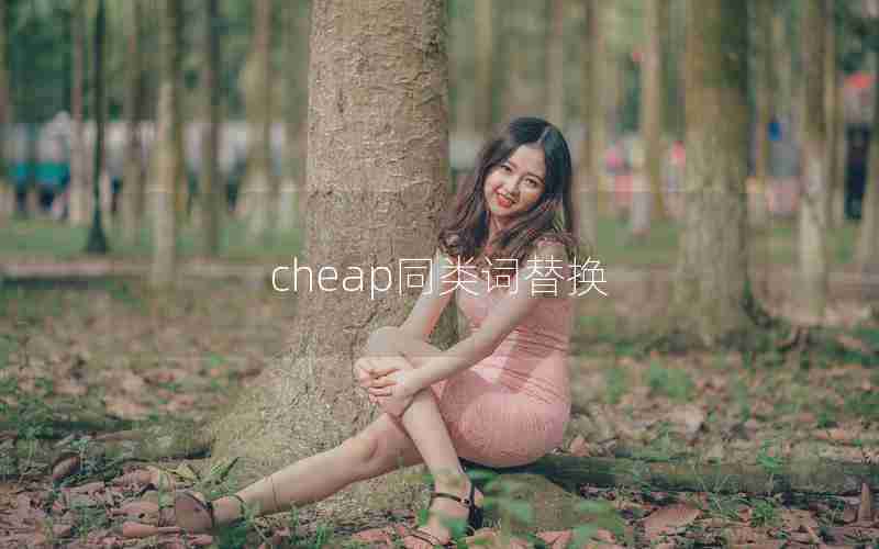 cheap同类词替换