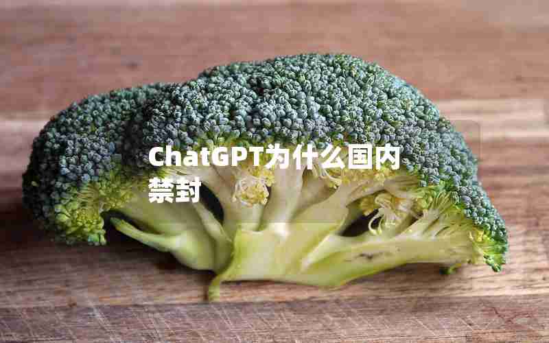 ChatGPT为什么国内禁封 ChatGPT为什么国内禁封