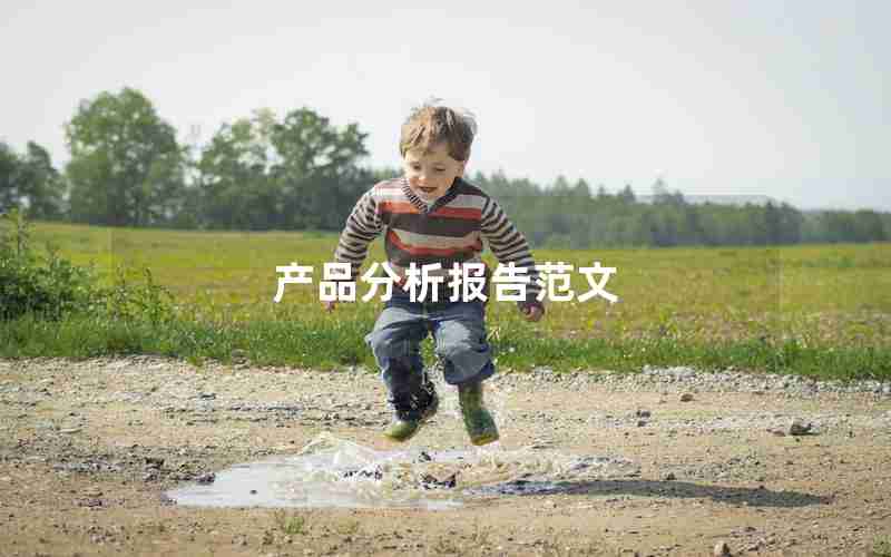 产品分析报告范文 产品分析报告范文