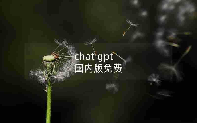 chat gpt 国内版免费 chat gpt 国内版免费