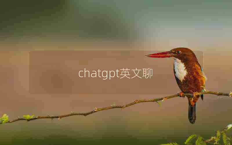 chatgpt英文聊