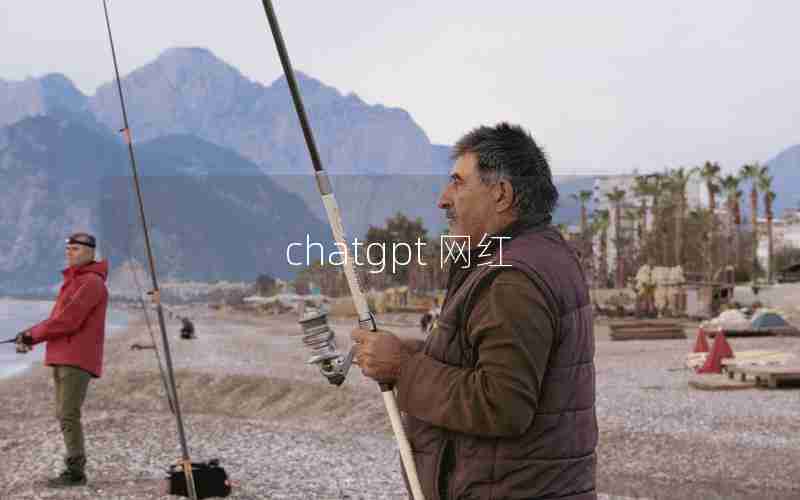chatgpt 网红