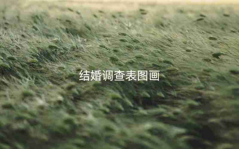 结婚调查表图画 结婚调查表图画