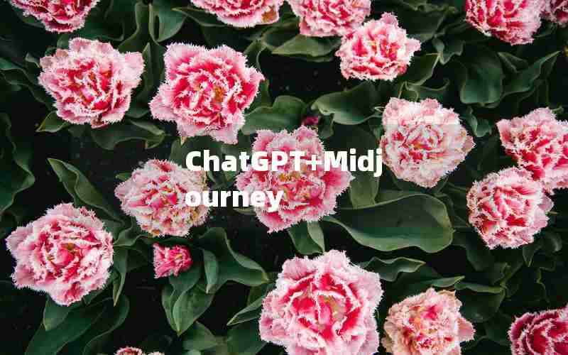 ChatGPT+Midjourney