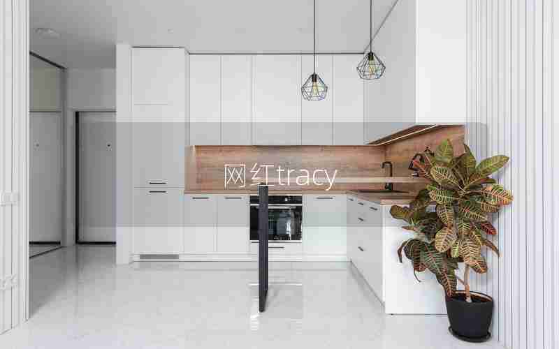 网红tracy 网红tracy