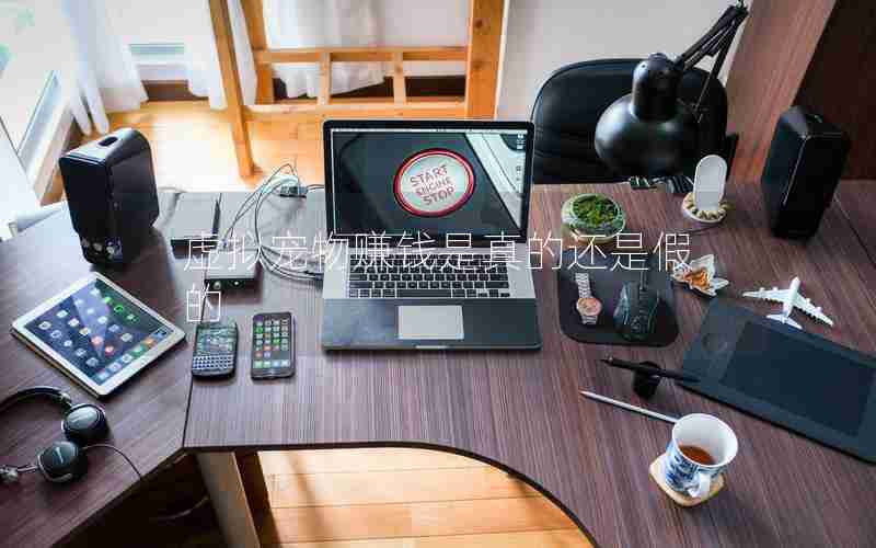 虚拟宠物赚钱是真的还是假的