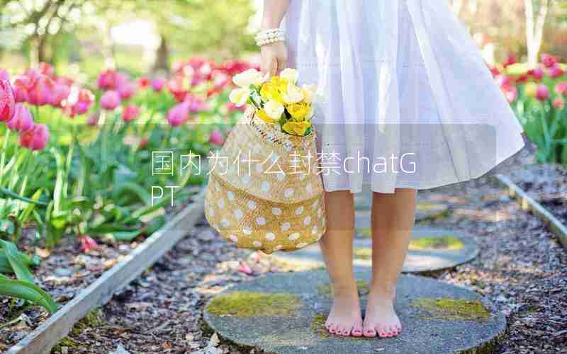 国内为什么封禁chatGPT 国内为什么封禁chatGPT