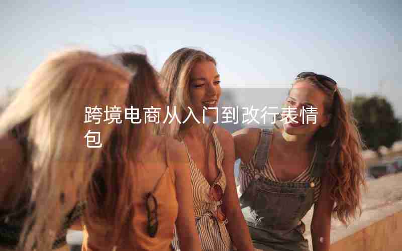 跨境电商从入门到改行表情包 跨境电商从入门到改行表情包