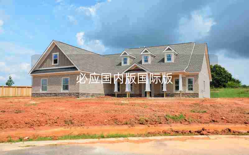 必应国内版国际版 必应国内版国际版