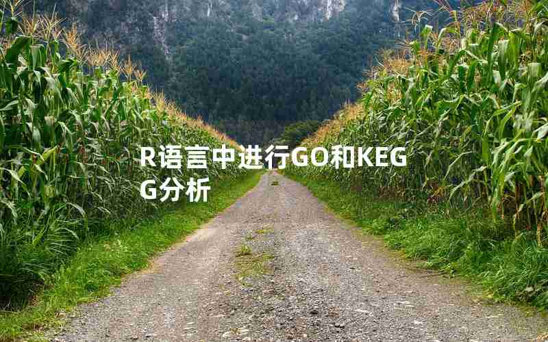R语言中进行GO和KEGG分析