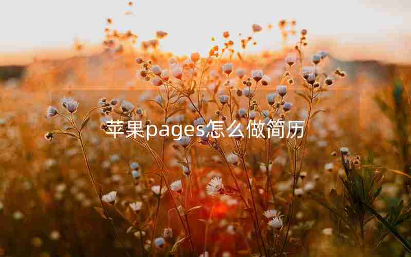 苹果pages怎么做简历