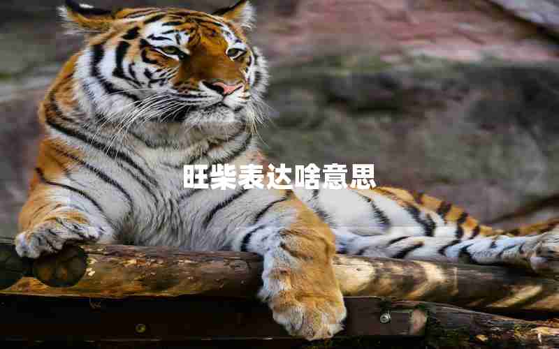 旺柴表达啥意思 旺柴表达啥意思