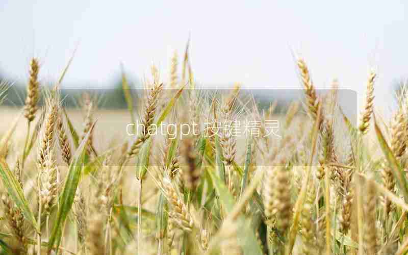 chatgpt 按键精灵 chatgpt 按键精灵