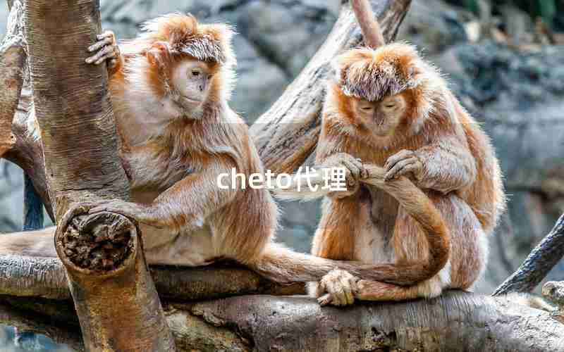 cheto代理 cheto代理