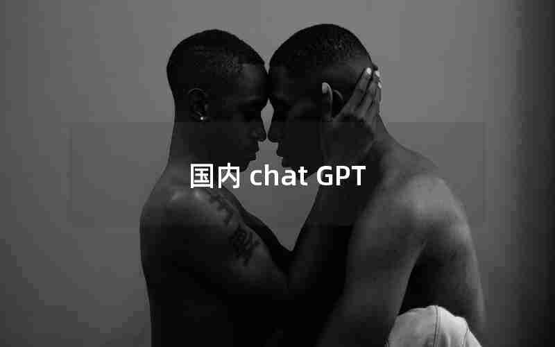 国内 chat GPT 国内 chat GPT