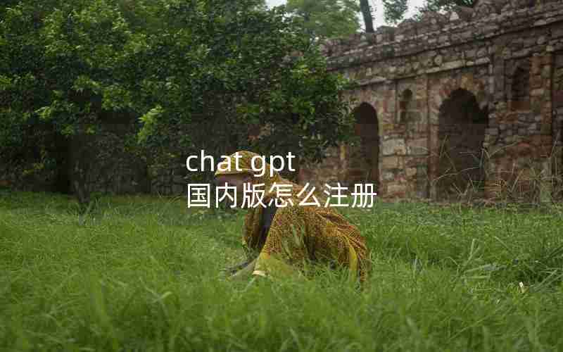 chat gpt 国内版怎么注册