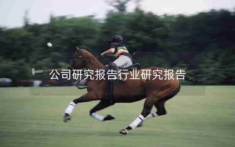 公司研究报告行业研究报告 公司研究报告行业研究报告