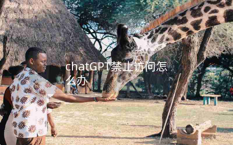 chatGPT禁止访问怎么办