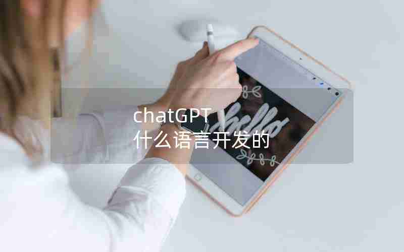 chatGPT 什么语言开发的