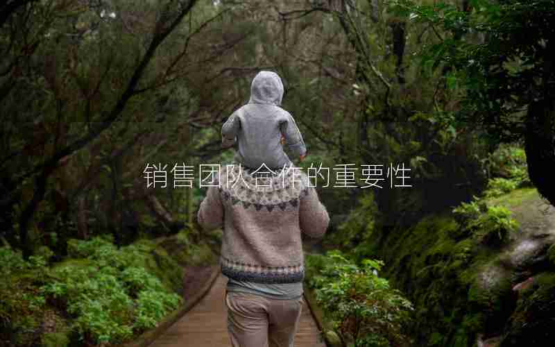 销售团队合作的重要性