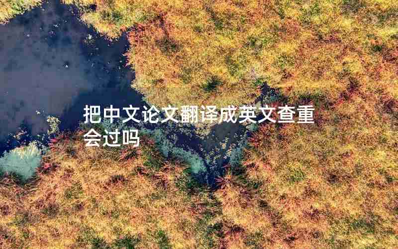 把中文论文翻译成英文查重会过吗