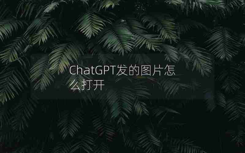 ChatGPT发的图片怎么打开 ChatGPT发的图片怎么打开