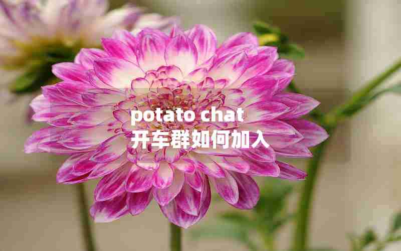 potato chat 开车群如何加入
