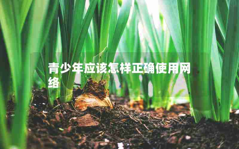 青少年应该怎样正确使用网络