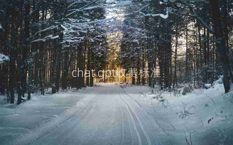 chat gpt收费标准 chat gpt收费标准