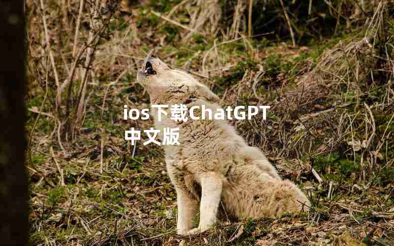 ios下载ChatGPT中文版 ios下载ChatGPT中文版