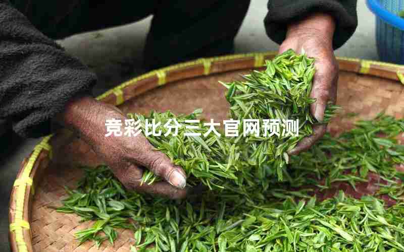 竞彩比分三大官网预测 竞彩比分三大官网预测