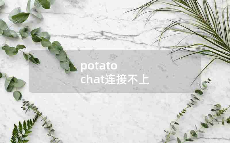 potato chat连接不上