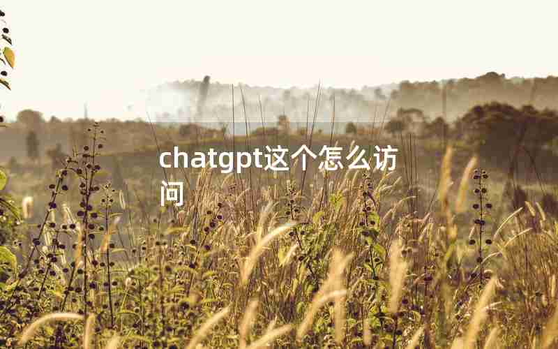 chatgpt这个怎么访问