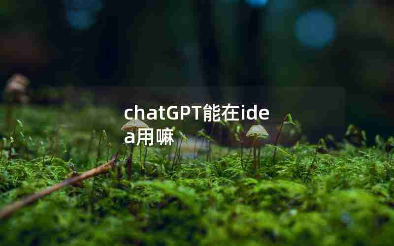 chatGPT能在idea用嘛 chatGPT能在idea用嘛