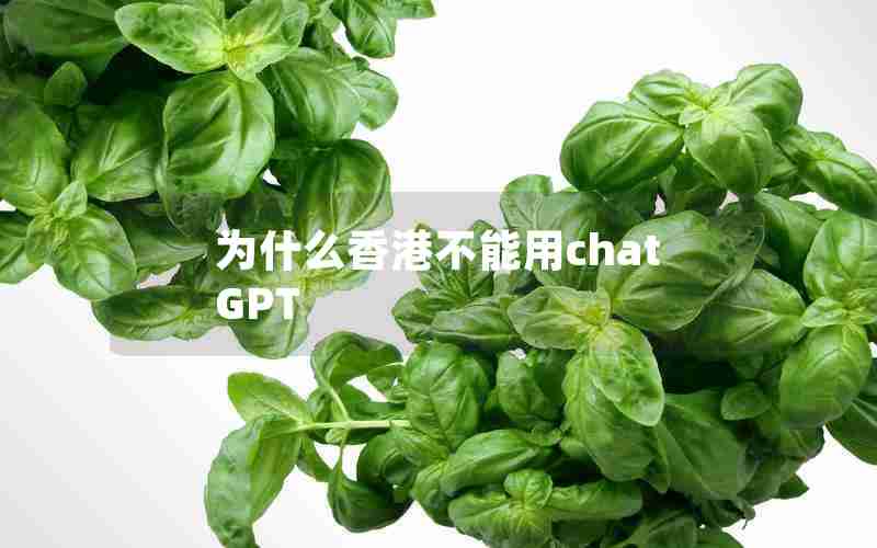 为什么香港不能用chatGPT 为什么香港不能用chatGPT