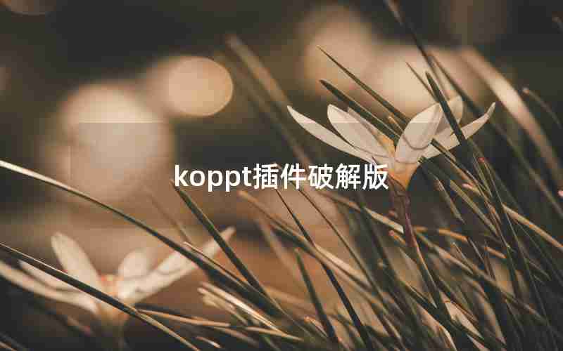 koppt插件破解版