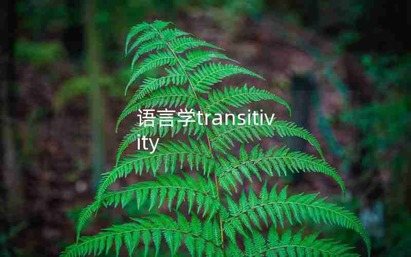 语言学transitivity