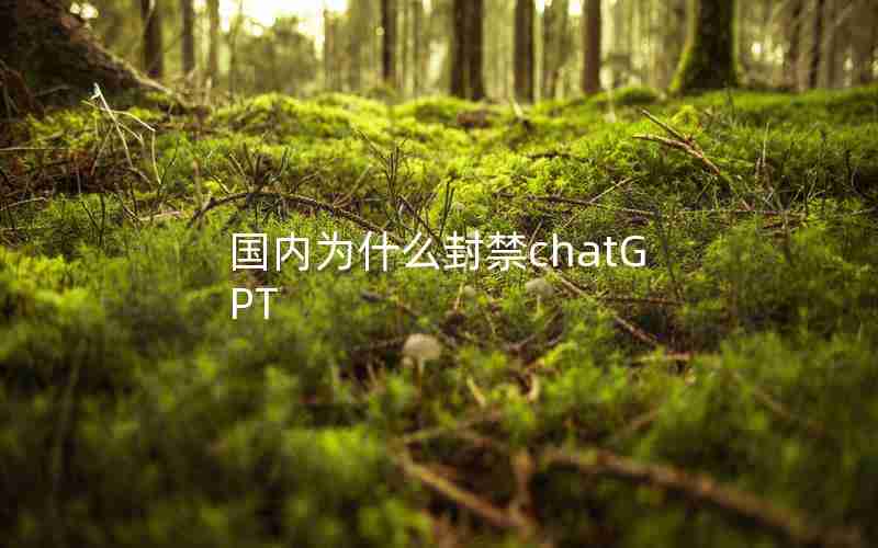 国内为什么封禁chatGPT 国内为什么封禁chatGPT