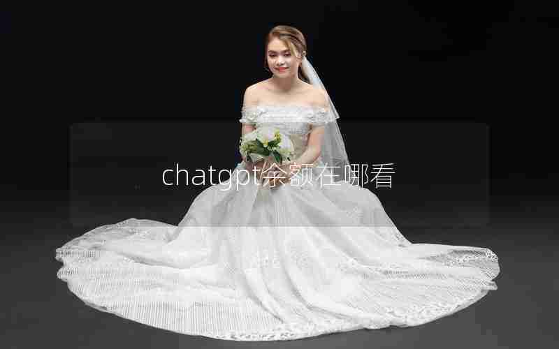 chatgpt余额在哪看